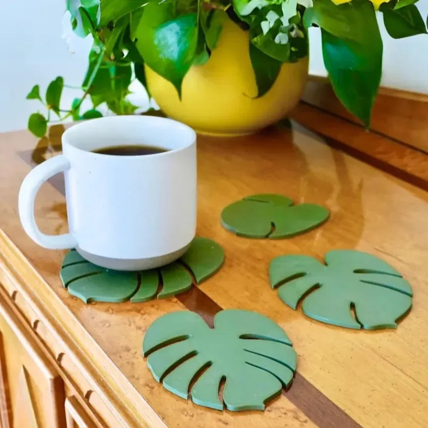 Monstera Elegance Coaster Plant