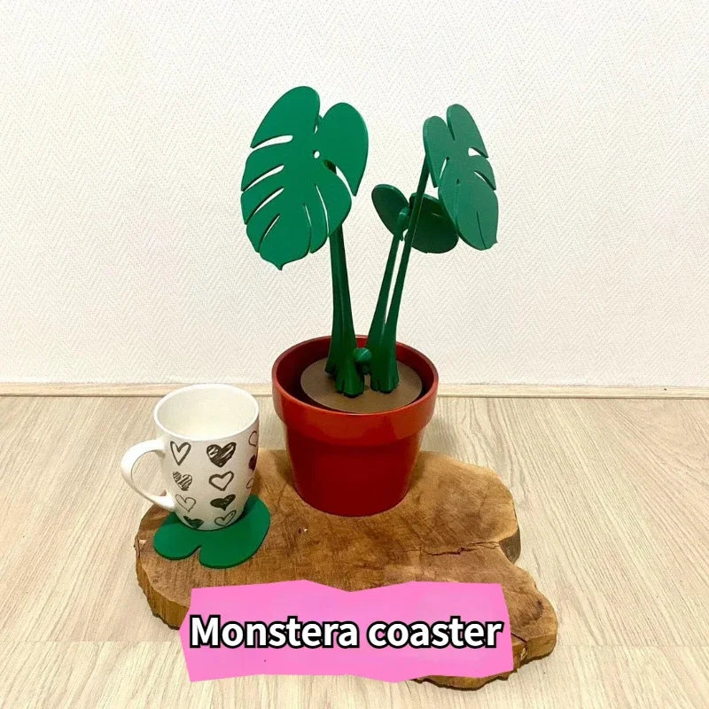 Monstera Elegance Coaster Plant