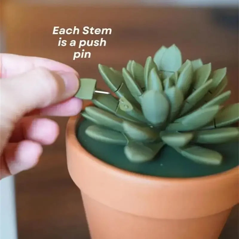 Push Pin Succulent
