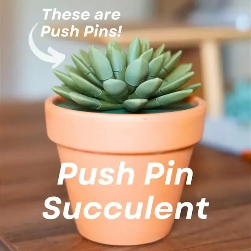 Push Pin Succulent