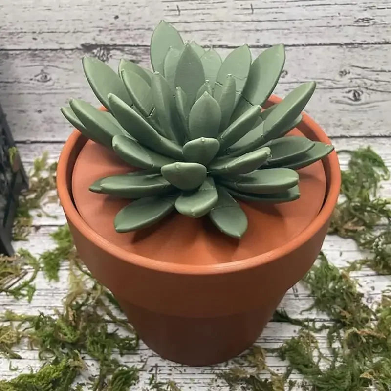 Push Pin Succulent
