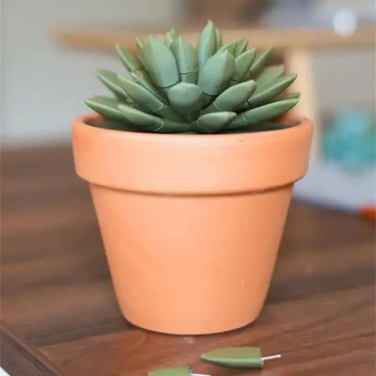 Push Pin Succulent