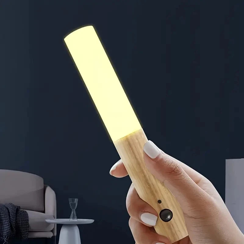 Night Owl Motion Light