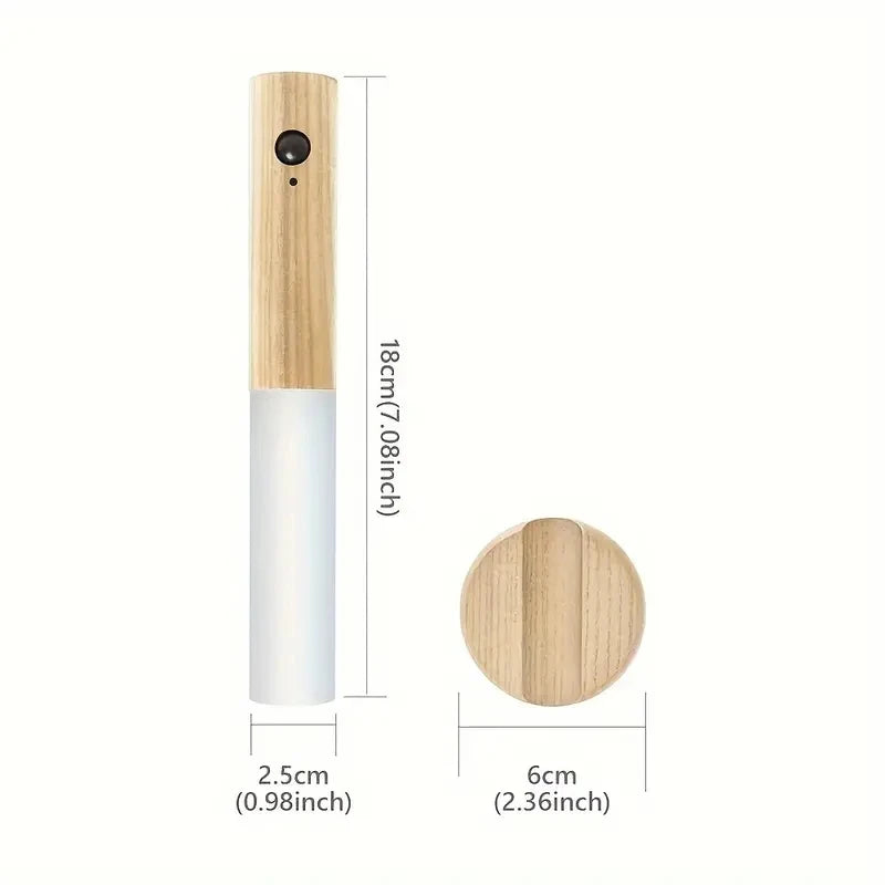 Night Owl Motion Light