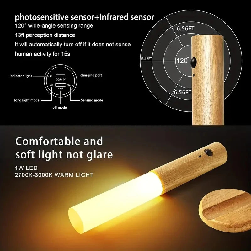 Night Owl Motion Light