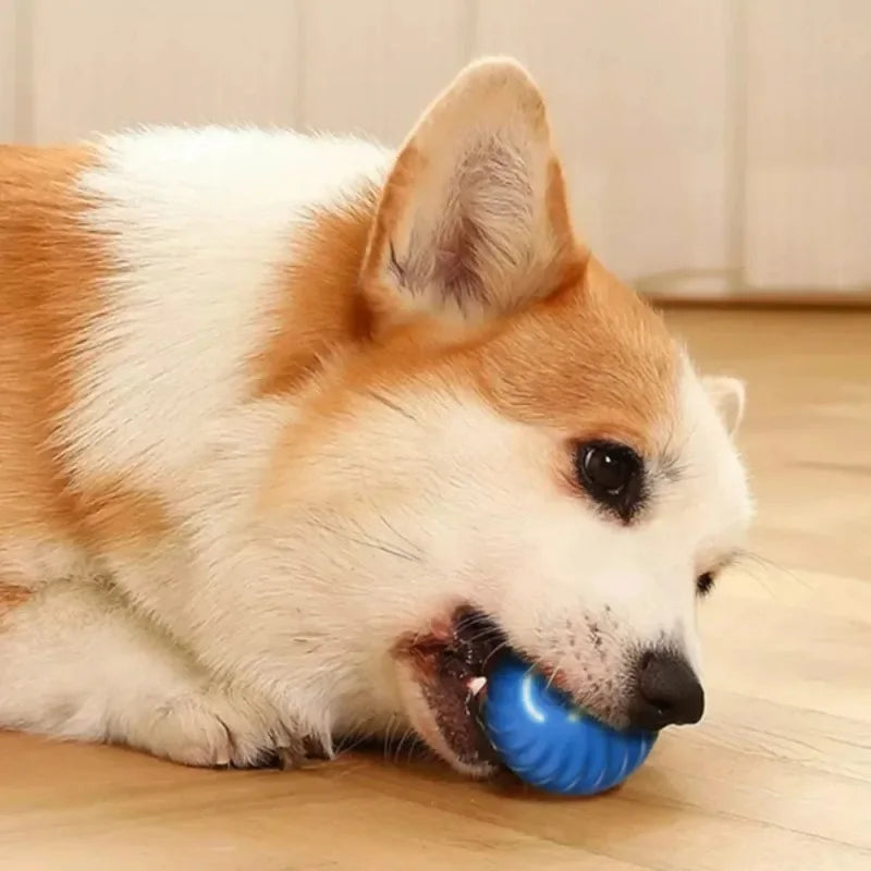 Smart Rolling Pet Toy