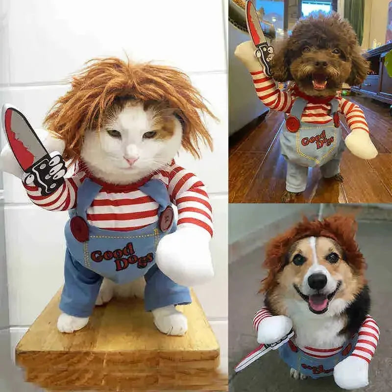 Funky Fun Dog Costumes