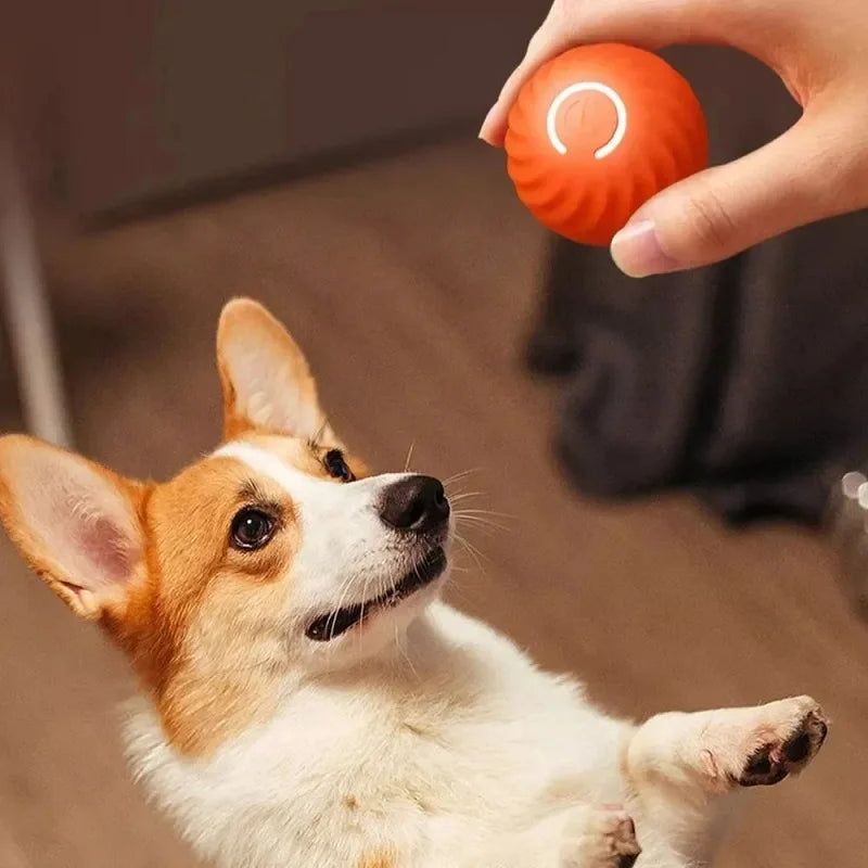 Smart Rolling Pet Toy